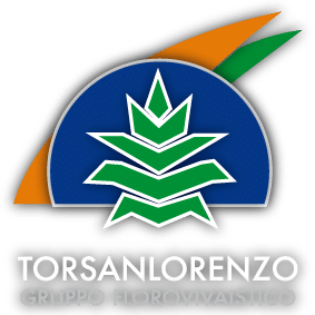 Torsanlorenzo empresas